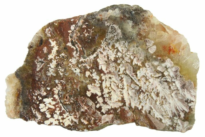 Polished Snow Plume Agate Slab - Mexico #338143